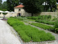 /album/fotogalerie-zamek-breznice/kavarna-u-bylinkove-zahradky-jpg/